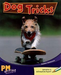 PM Writing 3 Silver/Emerald 24/25 Dog Tricks